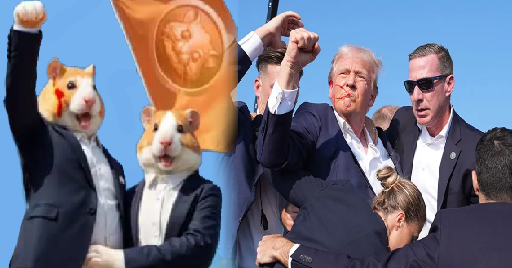 Hamster Kombat supports Trump ! Will he SUPPORT back?