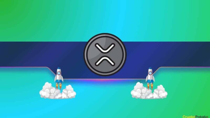 Ripple (XRP) Soars by 5% Hourly Despite the Overall Market Correction: Details