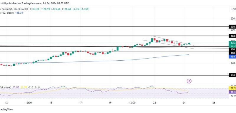 Solana Hits $170, Bullish Channel Formation Indicates Possible Rally