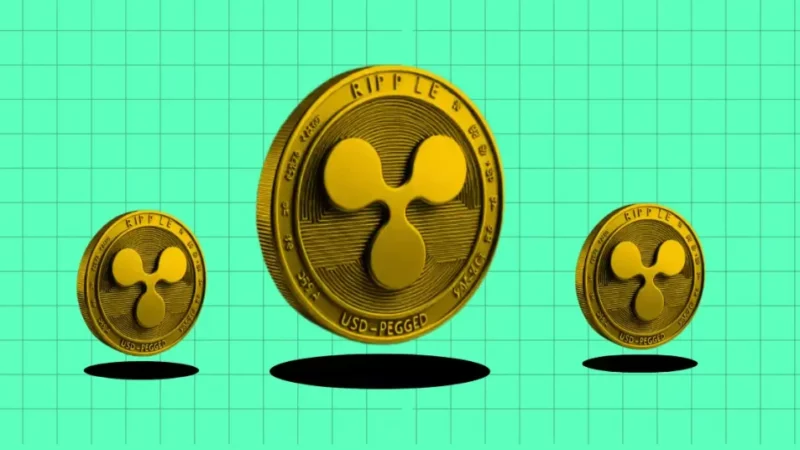 XRP News Today : Ripple’s $1M Donation to Support John Deaton and Unseat Warren