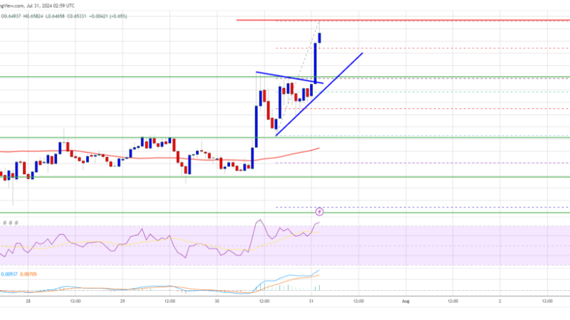 XRP Price Beats BTC: Surging Higher and Aiming for More