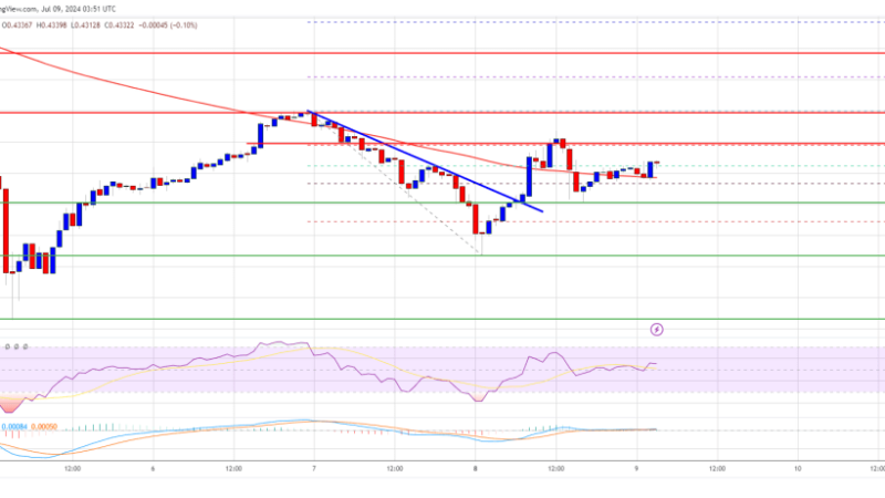 XRP Price Finds Relief: Will It Break Past $0.45 Amid Numerous Hurdles?