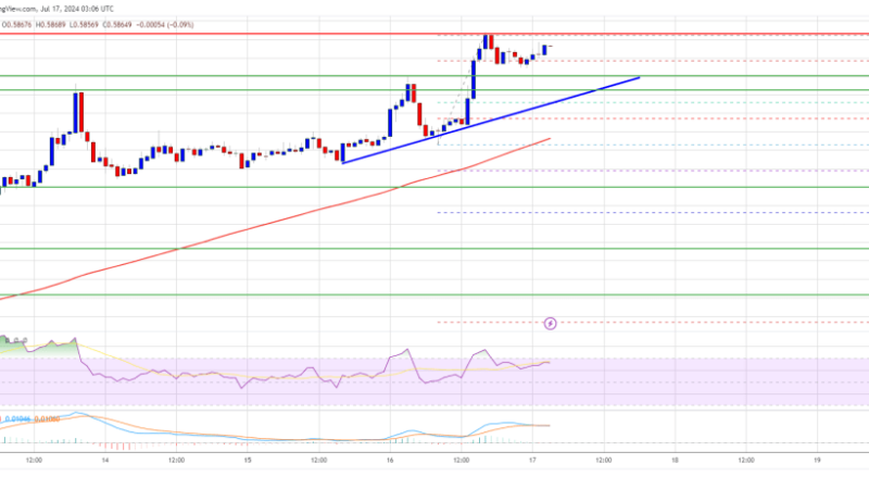 XRP Price Grinds Higher: Is A Break Above $0.60 Imminent?