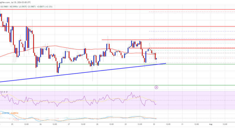 XRP Price Range-Bound: Can It Maintain Support and Break Out?