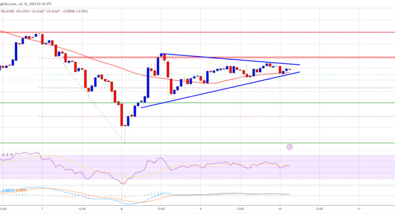 XRP Price Set For Comeback: Breaking This Resistance Could Trigger Recovery