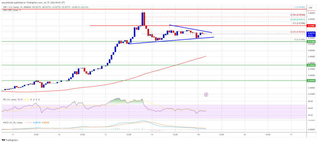 XRP Price Soars 20% Then Corrects: Is Another Rally on the Horizon?