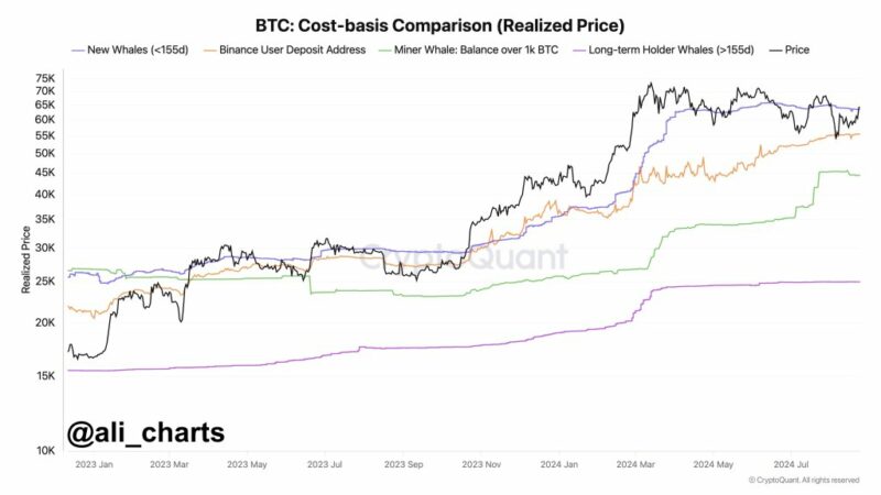 Bitcoin Analyst: 4 Crucial Support Levels To Watch If BTC Falls