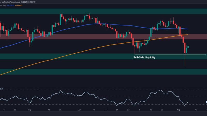 Bitcoin Price Analysis: 2 Targets for BTC Following the Crash Below $50K and Subsequent Bounce