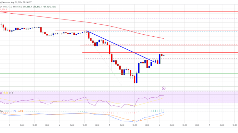 Bitcoin Price Bounce Back: Could the Recovery Lose Momentum?