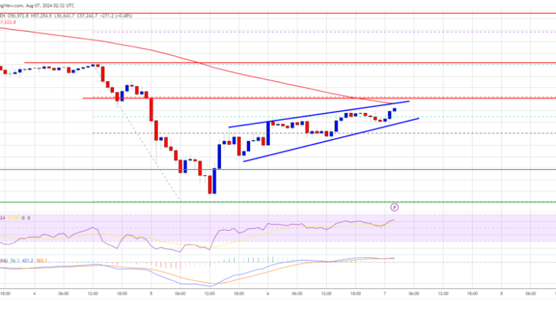 Bitcoin Price Gains Strength: 100 SMA Crucial for Sustained Gains