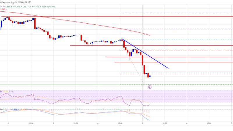 Bitcoin Price Plunge Deepens: What Could Prevent a Recovery?