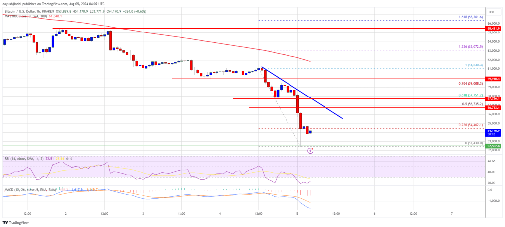 Bitcoin Price Plunge Deepens: What Could Prevent a Recovery?