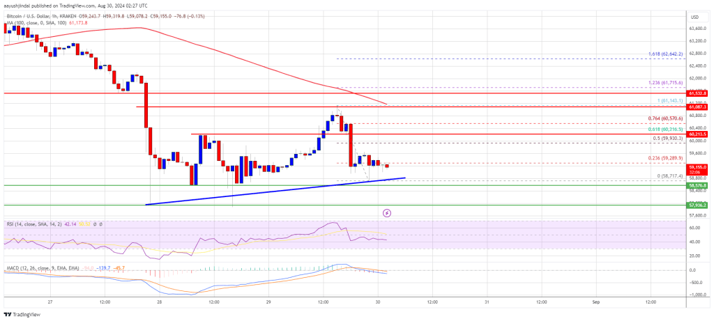 Bitcoin Price Retains Support: Is a Bounce Back on the Horizon?