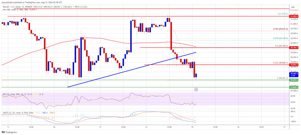 Bitcoin Price Tests Support: Will It Bounce Back Stronger?