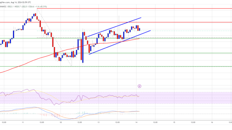 BNB Price Back on Track: Can It Break $535 to Move Higher?