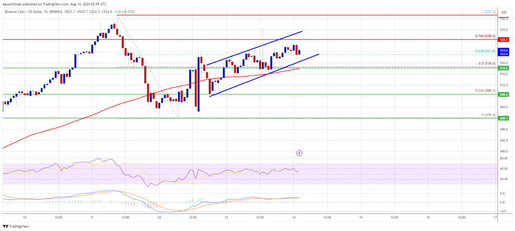 BNB Price Back on Track: Can It Break $535 to Move Higher?