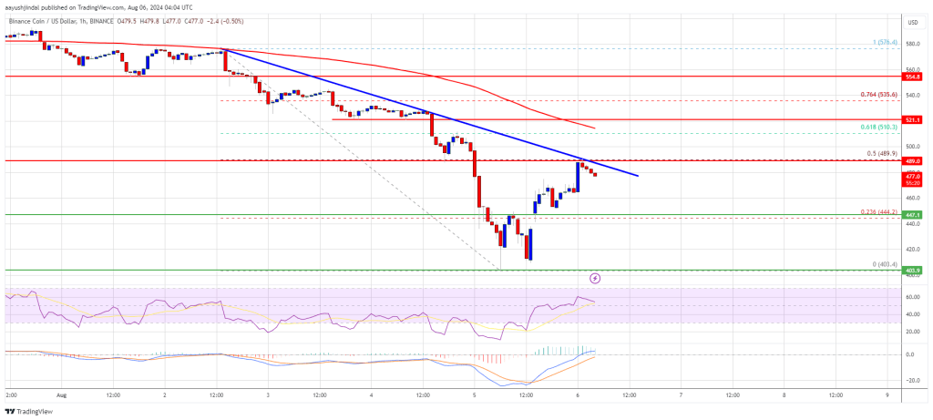 BNB Price Recovery Faces Setbacks: What Risks Lie Ahead?