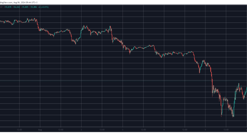 Crypto Market (Watch) in Recovery: BTC Price Rises to $56K, SOL, SHIB Explode by 24% Daily