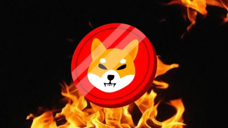 Crypto Panic: Binance’s Decreasing SHIB Holdings Raise Red Flags!