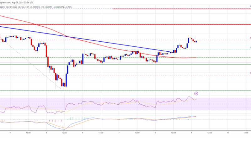 Dogecoin Price (DOGE) Poised for a Steady Increase, Inspired by Bitcoin