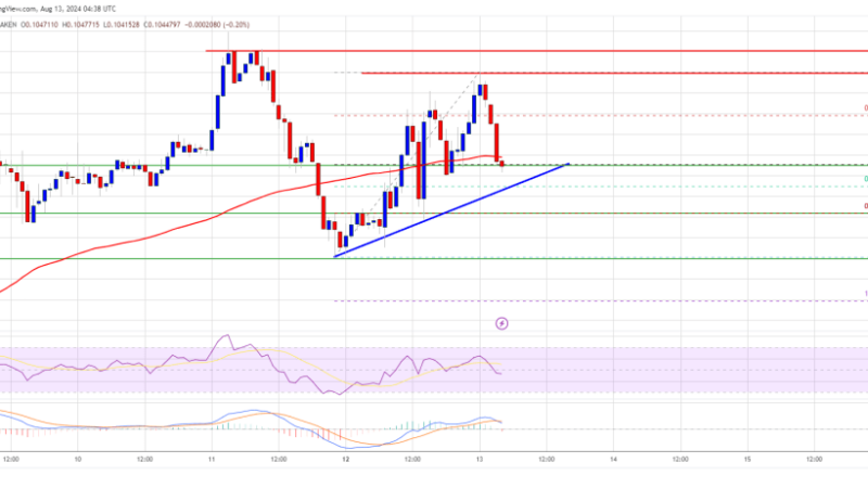 Dogecoin Price (DOGE) Set For Fresh Gains: Can It Surge Higher?