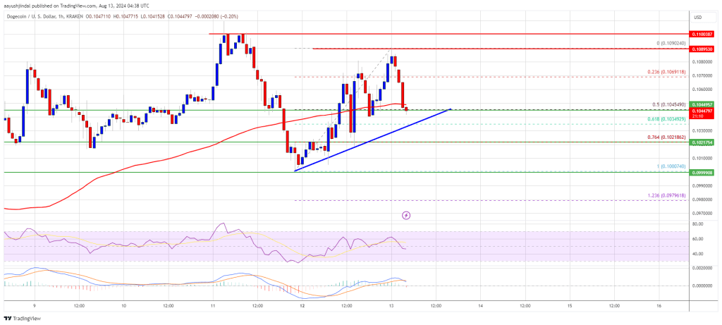 Dogecoin Price (DOGE) Set For Fresh Gains: Can It Surge Higher?