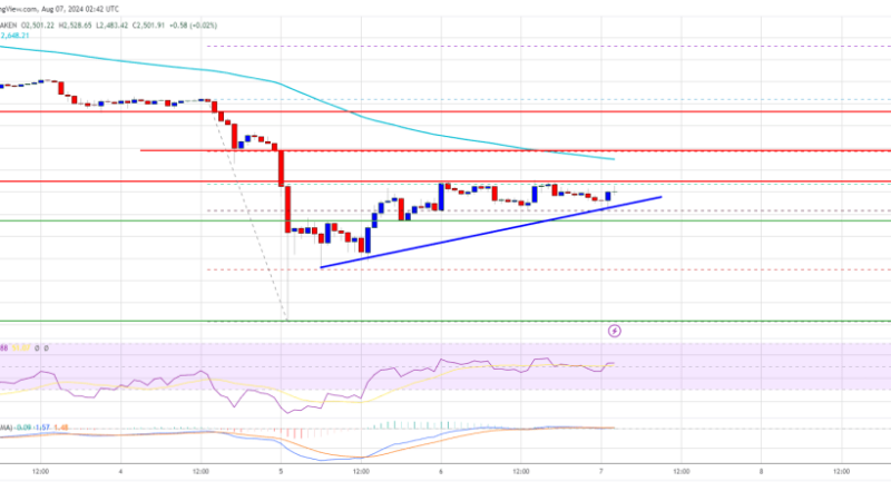 Ethereum Price Poised to Climb Higher: What’s Next for ETH?