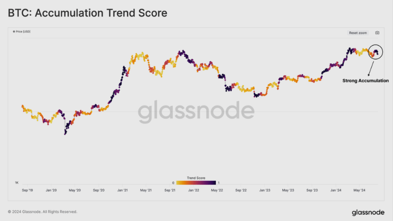 HODLing Resurgence? 374,000 Bitcoin Transfer Ignites Crypto Recovery