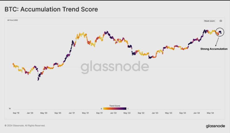 HODLing Resurgence? 374,000 Bitcoin Transfer Ignites Crypto Recovery