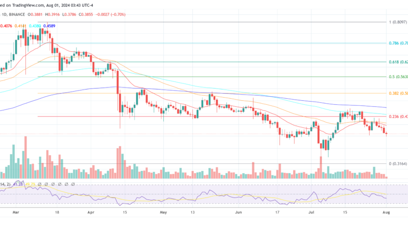 Hoskinson Claims Cardano Will Flip Bitcoin As Leading Crypto