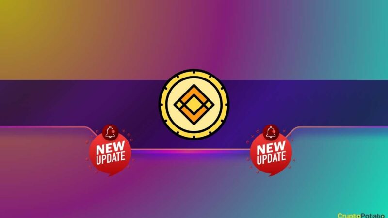 Important Binance Update Affecting This Popular Meme Coin: Details