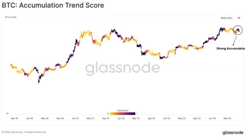 Investor Sentiment Uncertain, Yet Bitcoin’s HODLing Trends Resurface During Market Decline