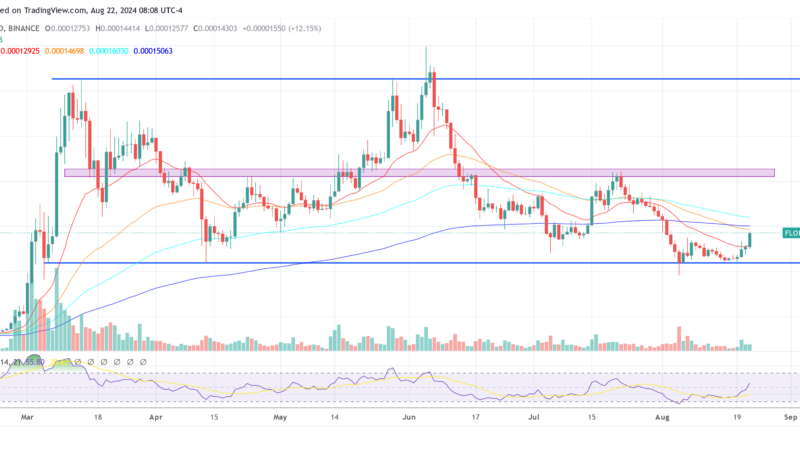 Memecoin FLOKI Leads Crypto Market With 13% Surge, Here’s Why