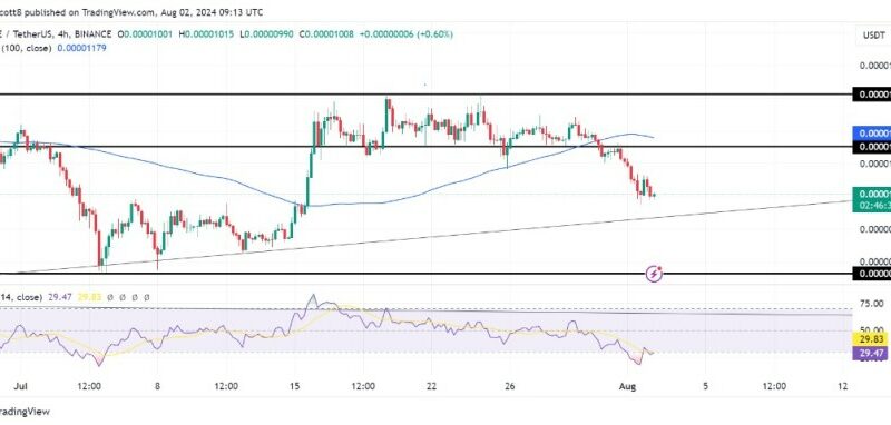 PEPE Bullish Trend Line Under Threat: $0.00000766 Level On Sight?