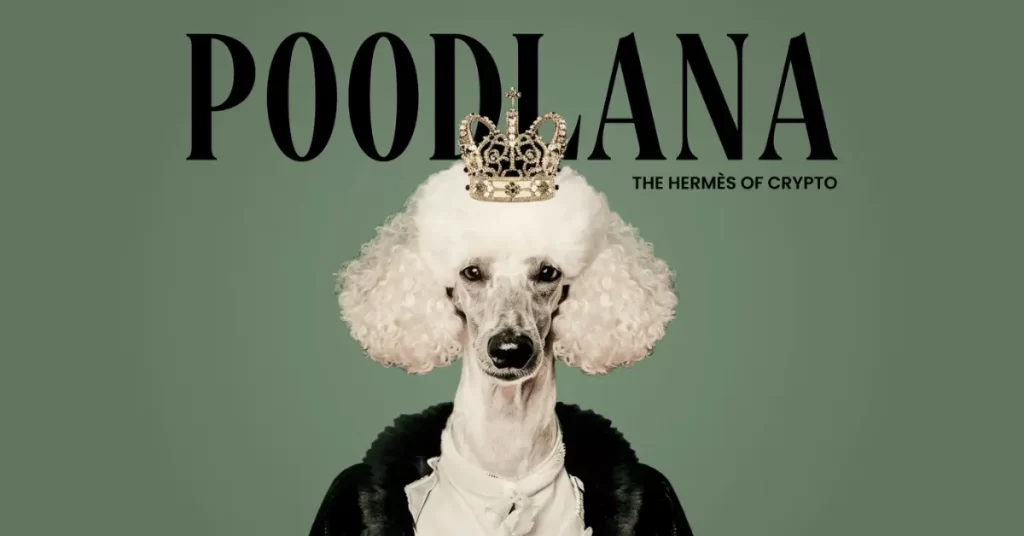 Poodlana Primed To Skyrocket Amid Major Exchange Listing Announcement