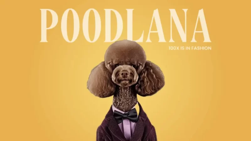 Poodlana: The Viral Crypto Sensation Sweeping Asia