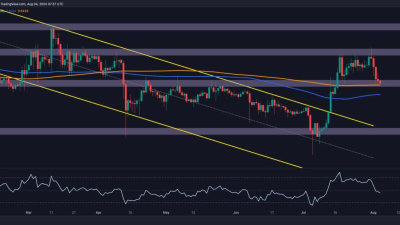 Ripple Price Analysis: Here’s Why XRP is Plunging Toward $0.5 and What to Expect Next