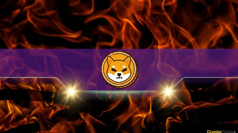 Shiba Inu Burn Rate Explodes by 140,000% as the SHIB Price Rebounds