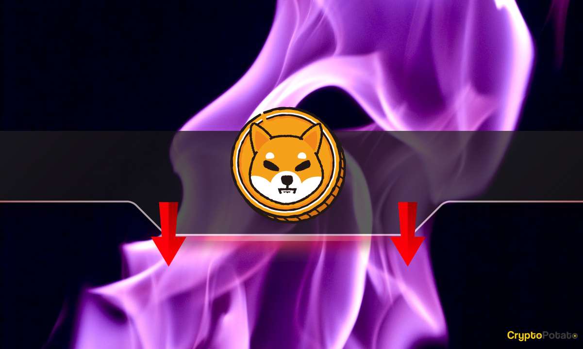 Shiba Inu Burn Rate Plummets by 90%: Is the SHIB Price in Danger?