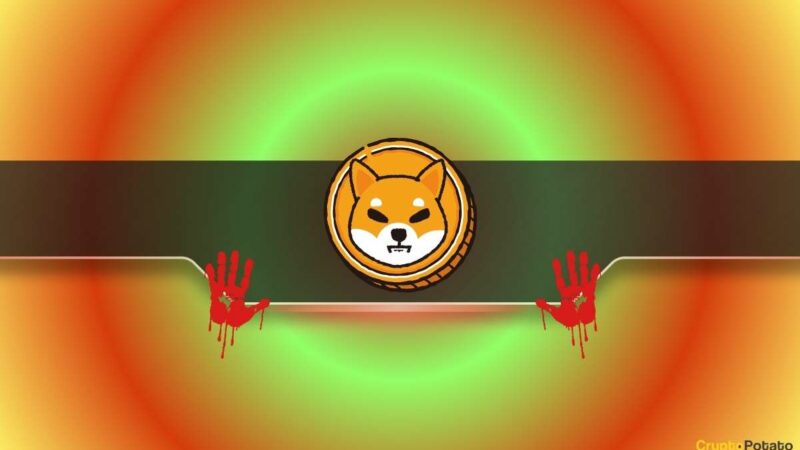 Shiba Inu (SHIB) Price Collapse: Here’s How Many HODLers are Underwater