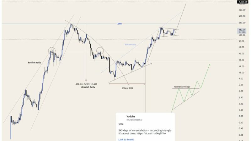 Solana Looks ‘Ripe To Push Higher’, Is A Mania-Like Rally To $600 Coming?