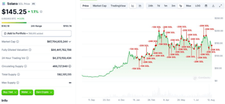 Solana Whale Sell-Offs Threaten $1,000 Dream, But Fundamentals Remain Strong