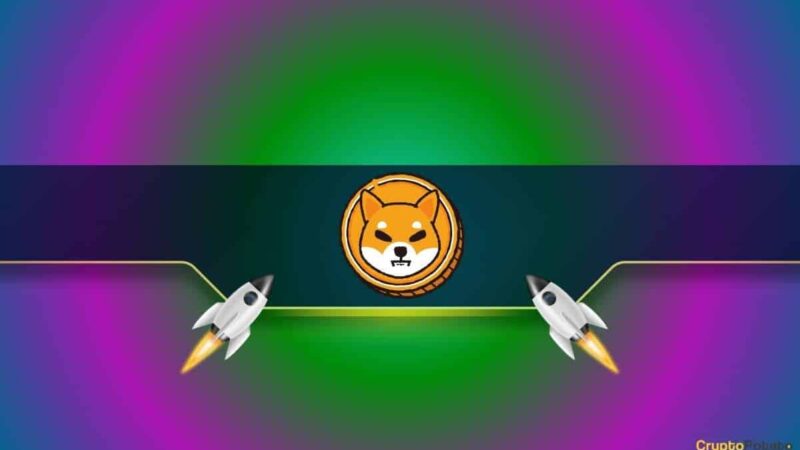 These Shiba Inu Indicators Skyrocket as the SHIB Price Bounces by 20%: Details