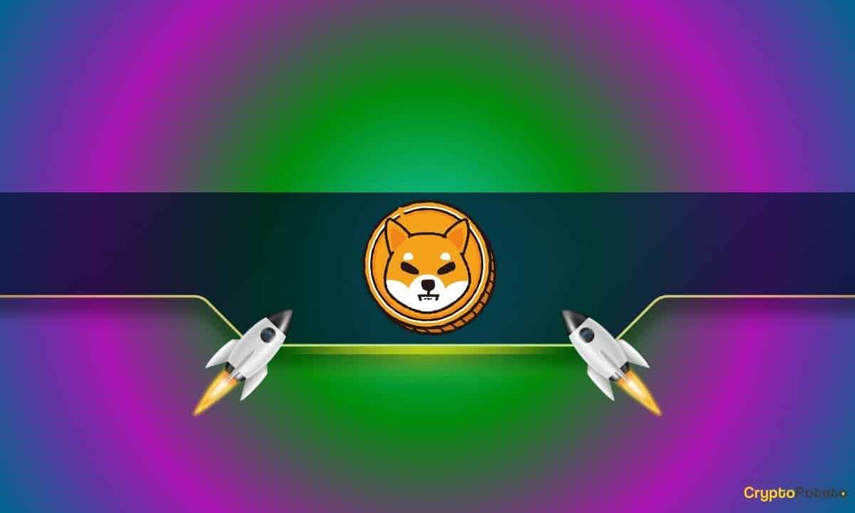 These Shiba Inu Indicators Skyrocket as the SHIB Price Bounces by 20%: Details