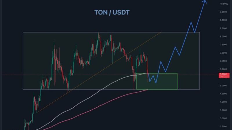 Toncoin (TON) Price Performance 5 Days Post-Durov Arrest: What’s Next?