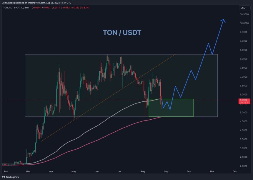 Toncoin (TON) Price Performance 5 Days Post-Durov Arrest: What’s Next?