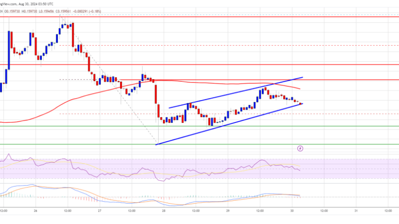 Tron Price Survives The Storm: Can TRX Climb Further??