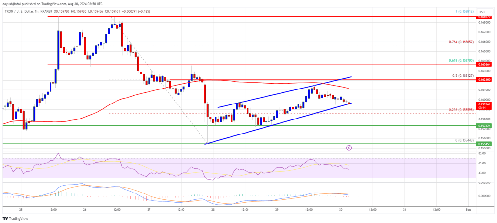 Tron Price Survives The Storm: Can TRX Climb Further??