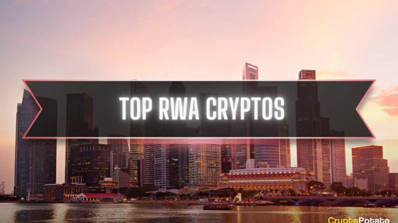 What is RWA in Crypto: Top 10 Real-World Asset Projects in 2024