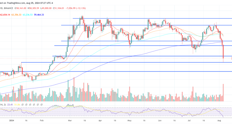 Why The 4-Year Crypto Cycle Is A Thing Of The Past: Top-Analyst